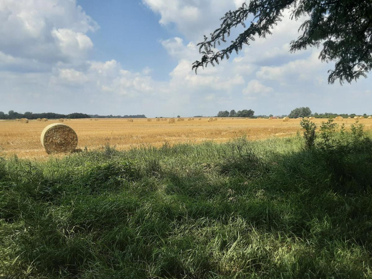 Tiszabábolna Herberg Tisza المظهر الخارجي الصورة