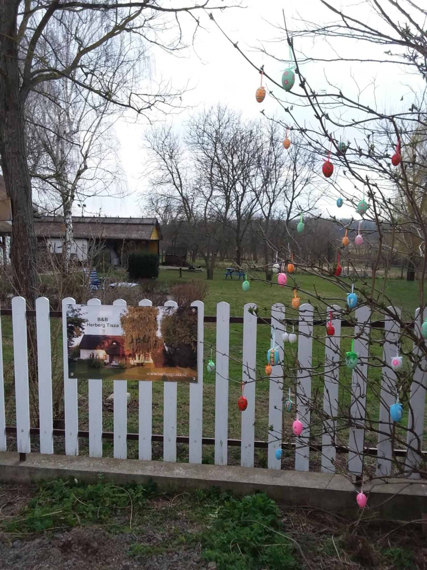 Tiszabábolna Herberg Tisza المظهر الخارجي الصورة