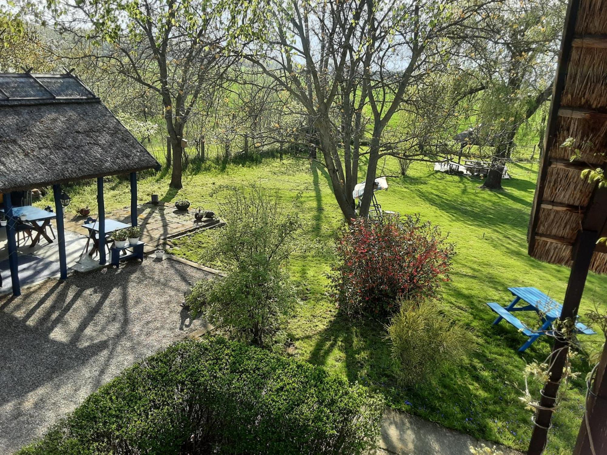 Tiszabábolna Herberg Tisza المظهر الخارجي الصورة