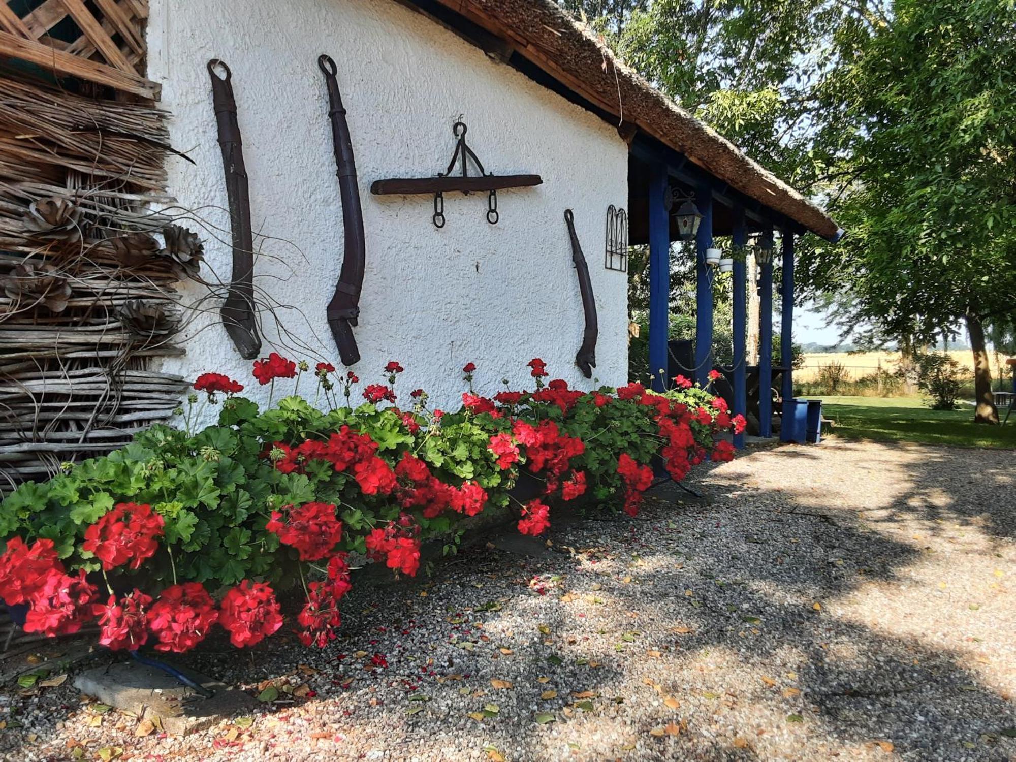 Tiszabábolna Herberg Tisza المظهر الخارجي الصورة